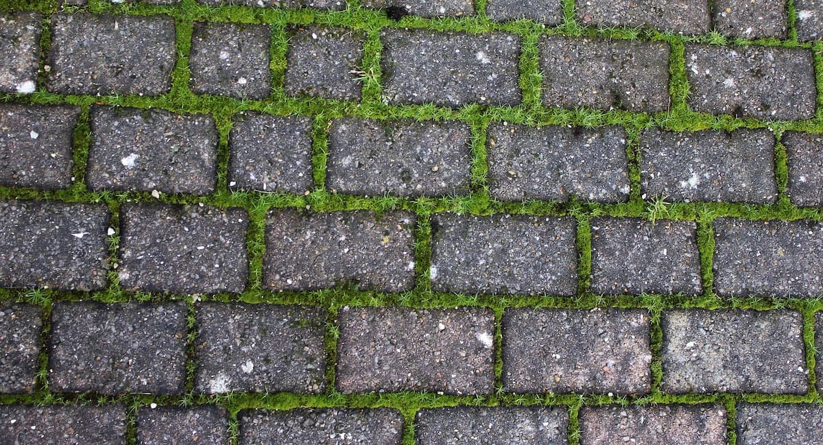 How To Effectively Remove Weeds From Paving And Patios